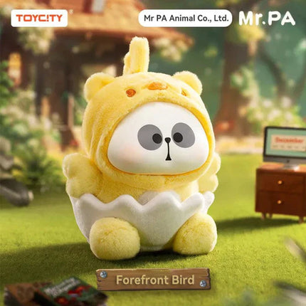 Collection image for: Mr.PA